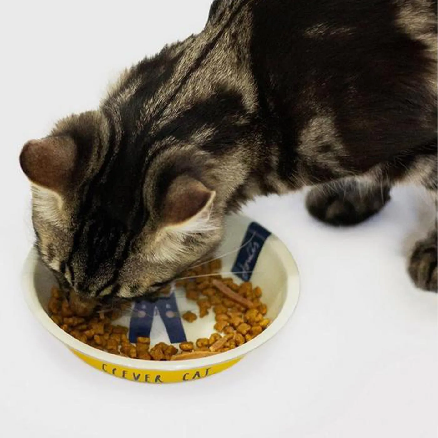 Joules 'Clever Cat' Cat Bowl