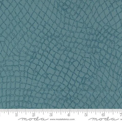 Longshore Net Haze