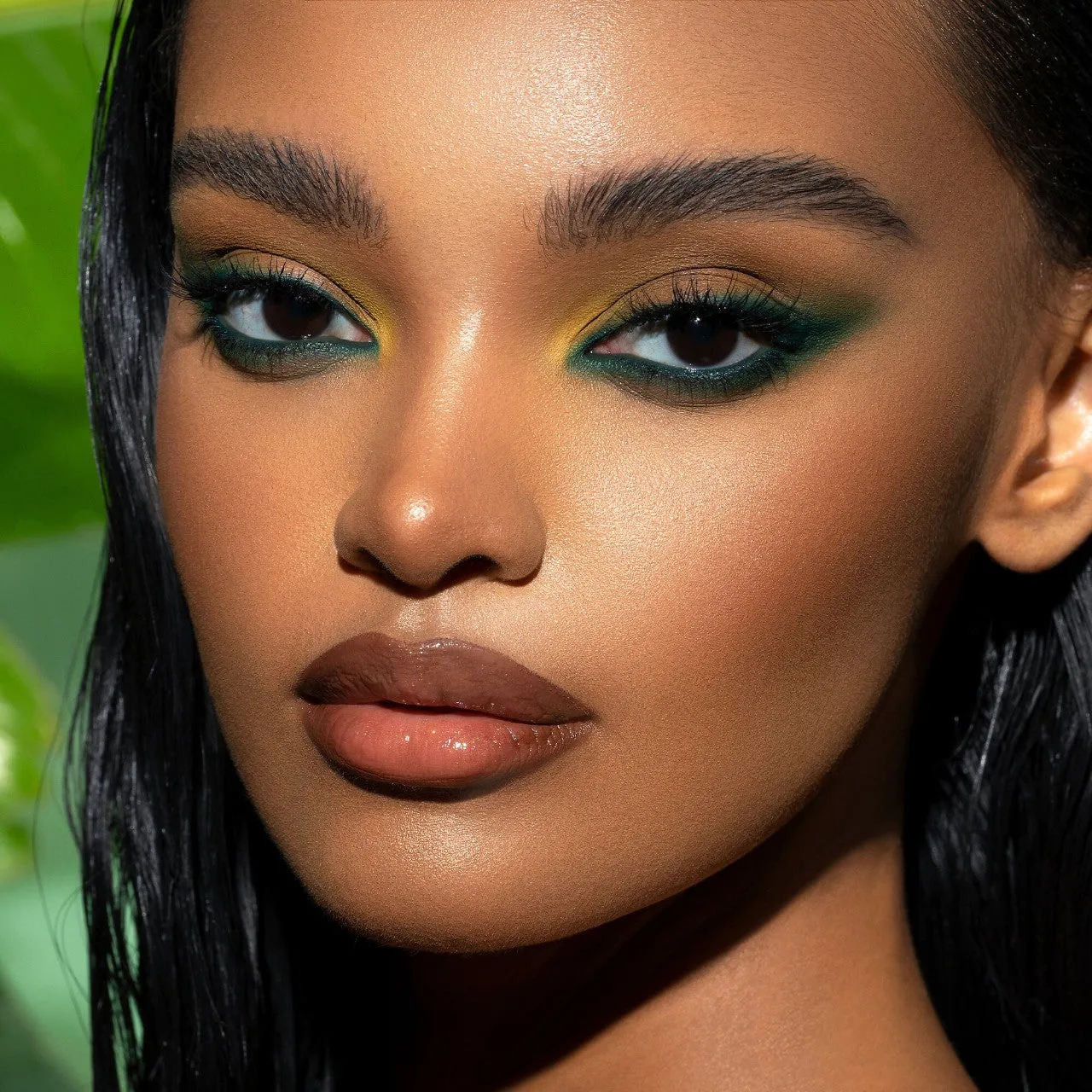 Yucca Palette