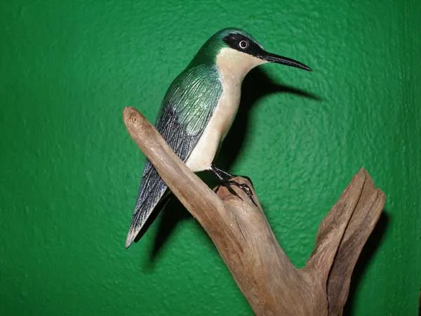 Zumbador Verde de Puerto Rico
